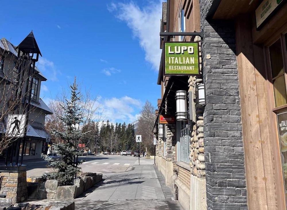 lupo.jpg