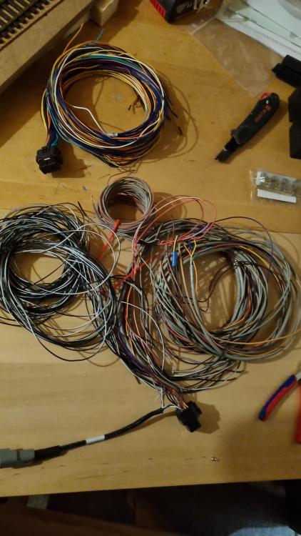 IMG-20240205-WA0004.thumb.jpeg.9ad2bf9b42bb0e6e45944e1c4f2cce4a.jpeg